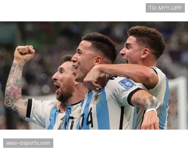 恩佐转会费是否溢价：数据表现与市场价值对比分析